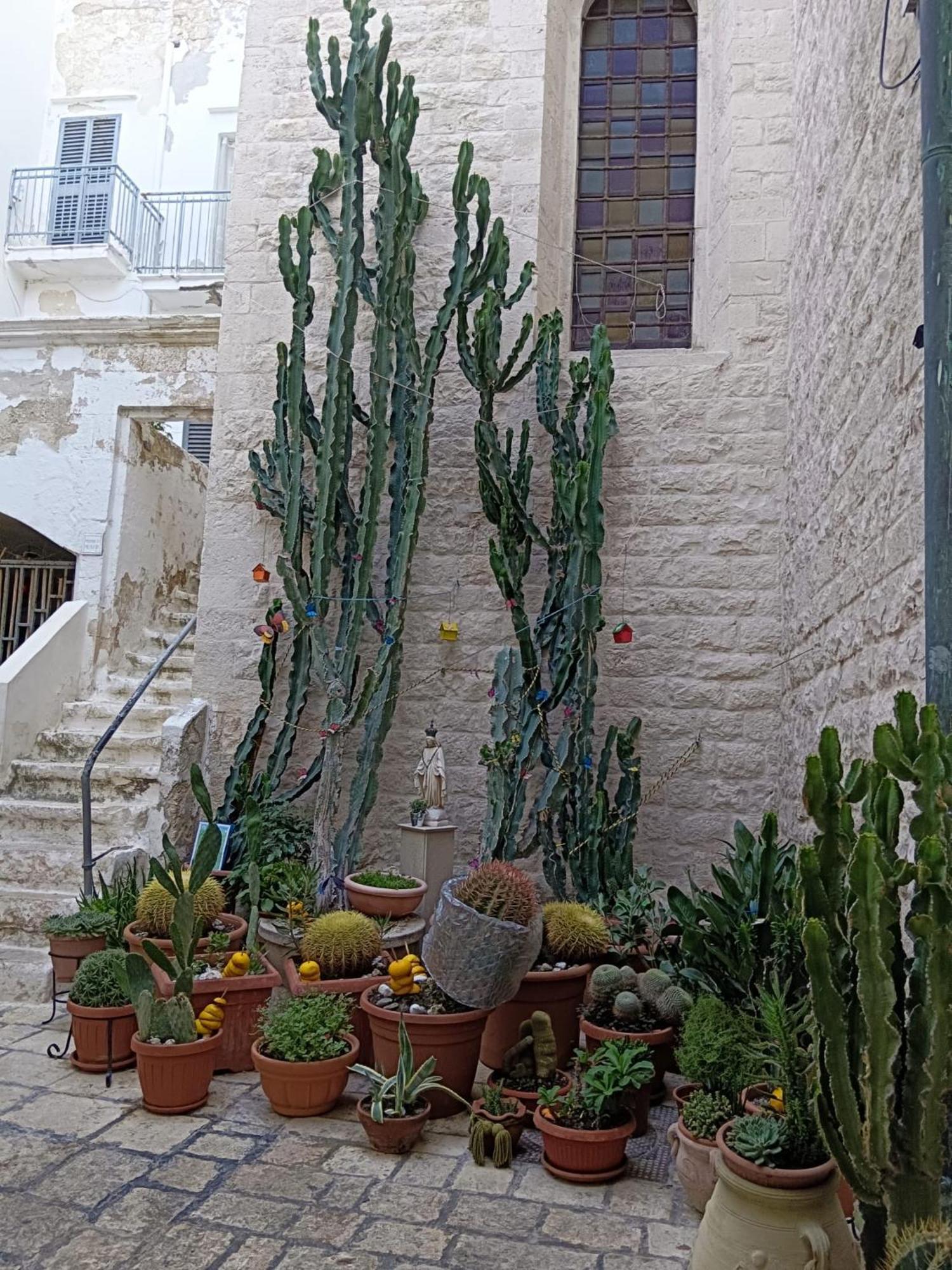 Palazzoliva - Luxury Boho Chic Guest House In The Historic Heart Of Μαρτίνα Φράνκα Εξωτερικό φωτογραφία